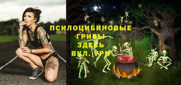 трава Медногорск