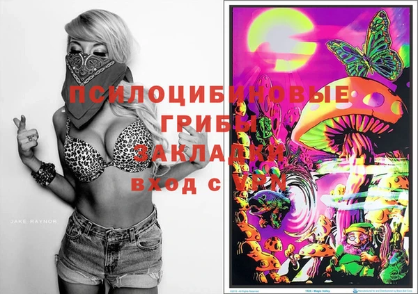 jwh Медвежьегорск